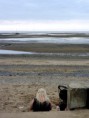 /album/rhyl/rhyl-28-jpg/